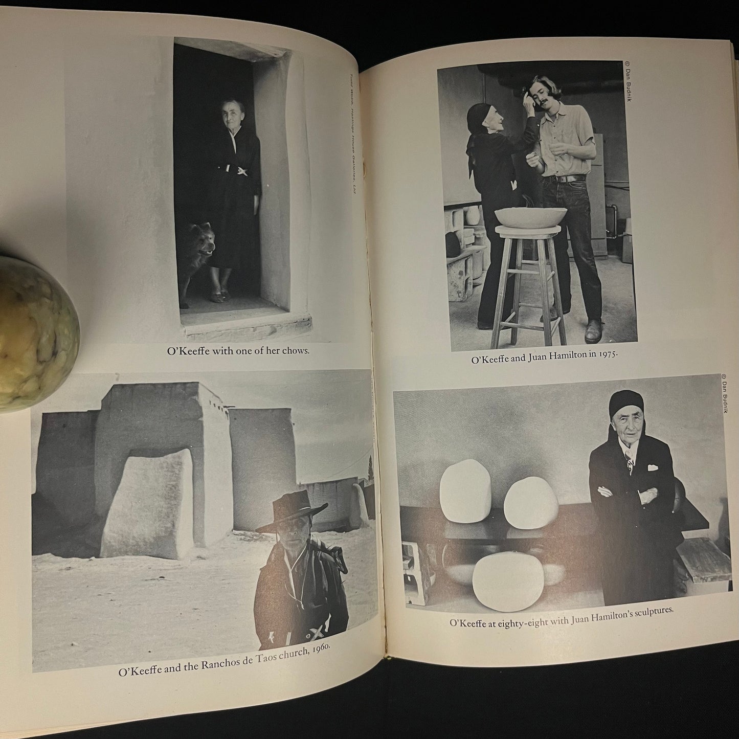 First Edition - Portrait of an Artist: A Biography of Georgia O'Keeffe by Laurie Lisle (1980) Vintage Hardcover Book