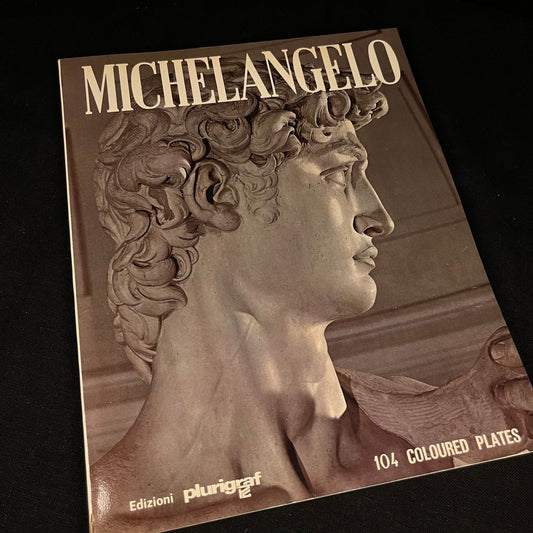 Michelangelo: Painter - Sculptor - Architect by Loretta Santini (1982) Vintage Softcover Book