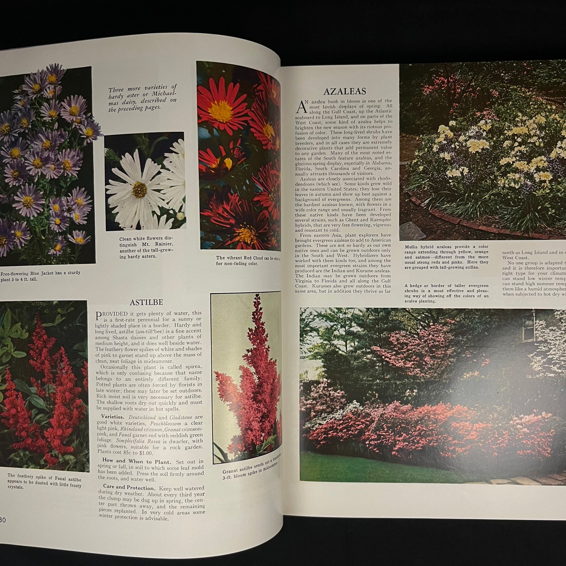 The Complete Guide to Garden Flowers: An Encyclopedia of Garden Planning edited by Herbert Askwith (1961) Vintage Hardcover Book