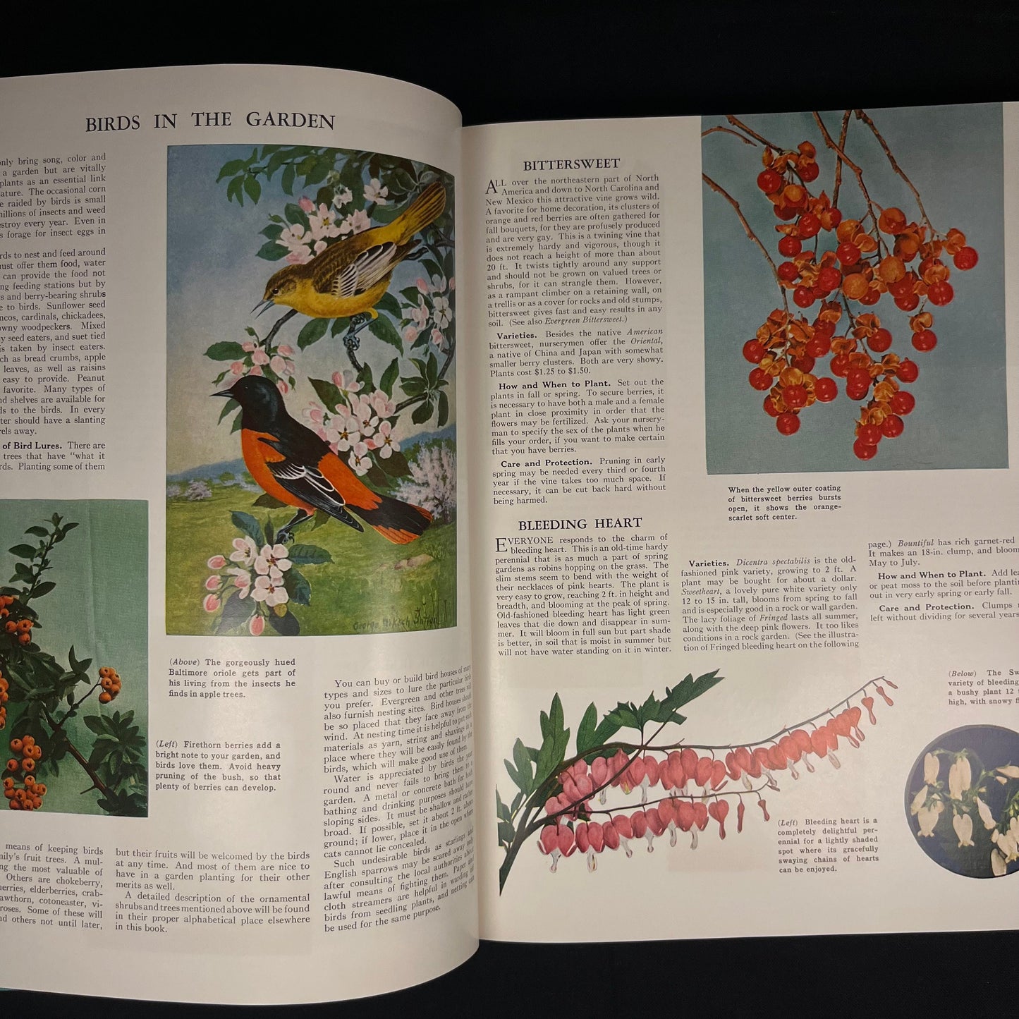 The Complete Guide to Garden Flowers: An Encyclopedia of Garden Planning edited by Herbert Askwith (1961) Vintage Hardcover Book