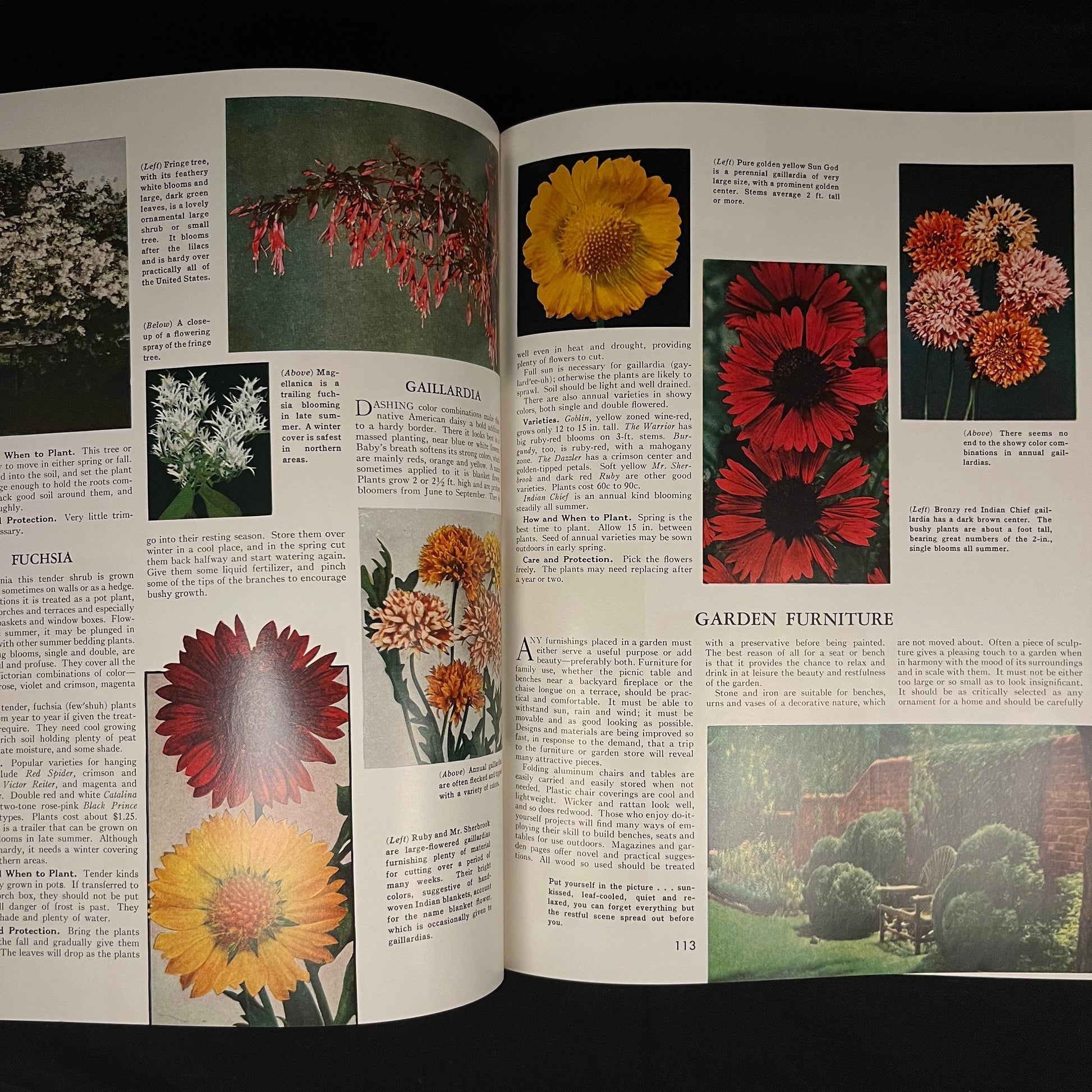 The Complete Guide to Garden Flowers: An Encyclopedia of Garden Planning edited by Herbert Askwith (1961) Vintage Hardcover Book