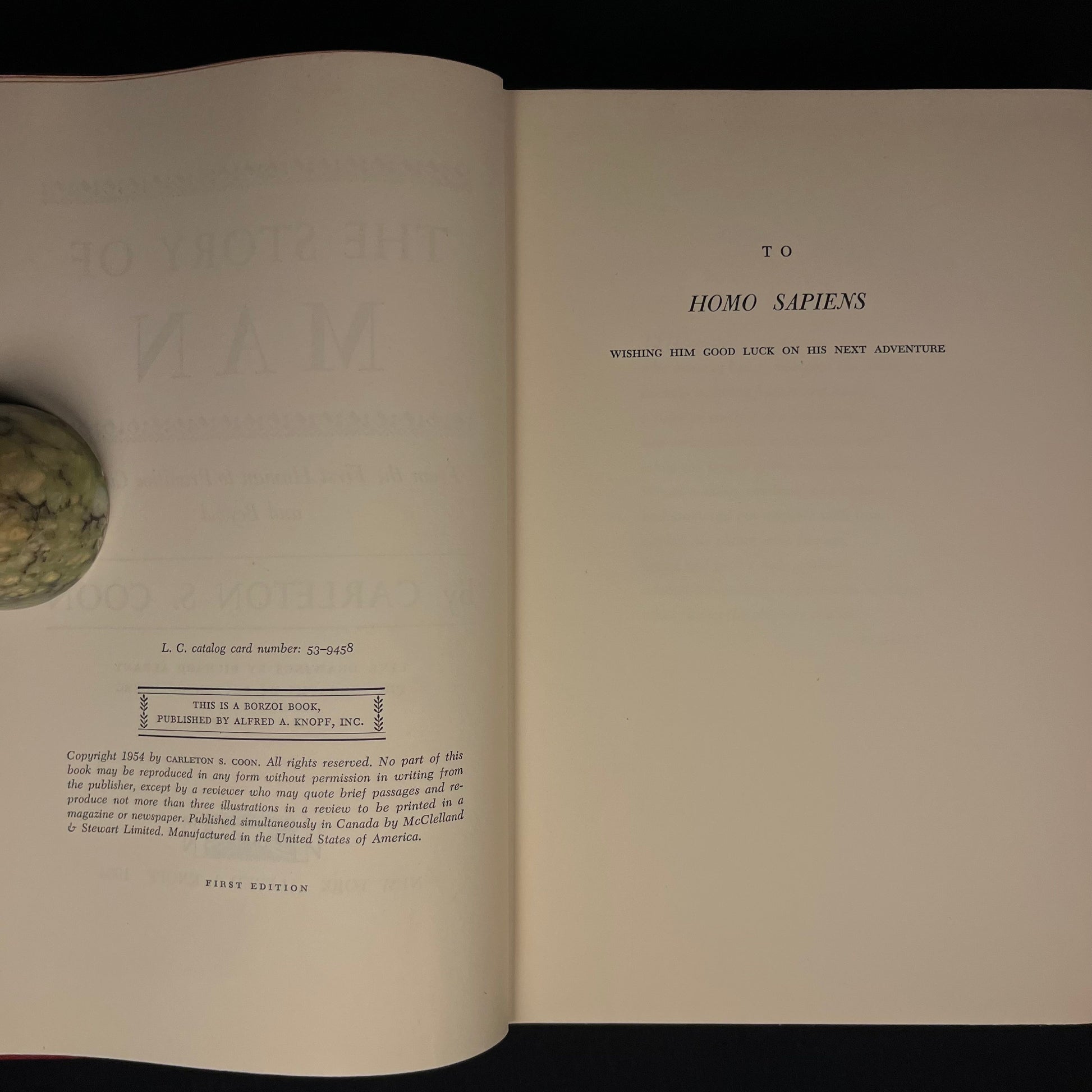 First Printing - The Story of Man: From the First Human to Primitive Culture and Beyond by Carleton S. Coon (1954) Vintage Hardcover Book