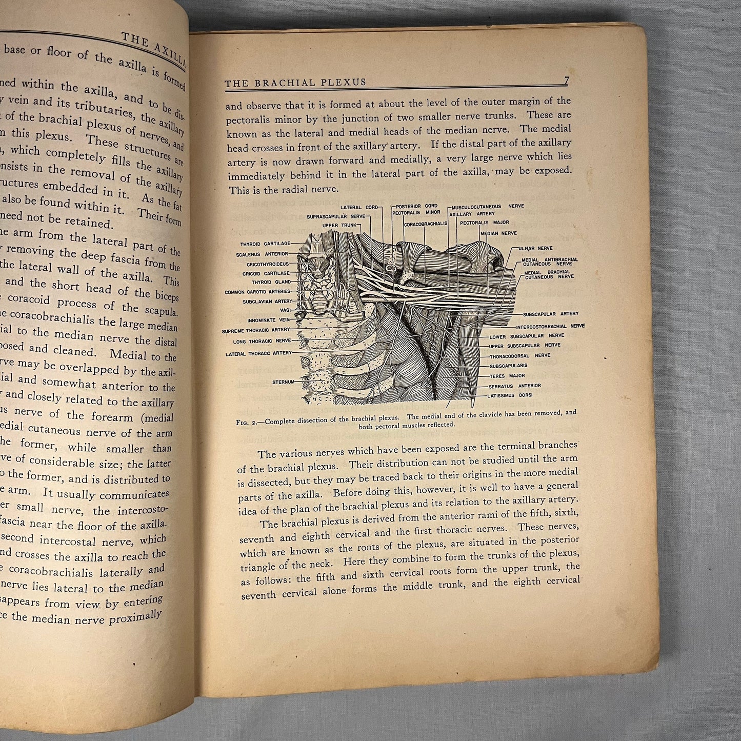 First Edition - Manual of Human Dissection by Edwin M. Shearer (1945) Vintage Hardcover Book