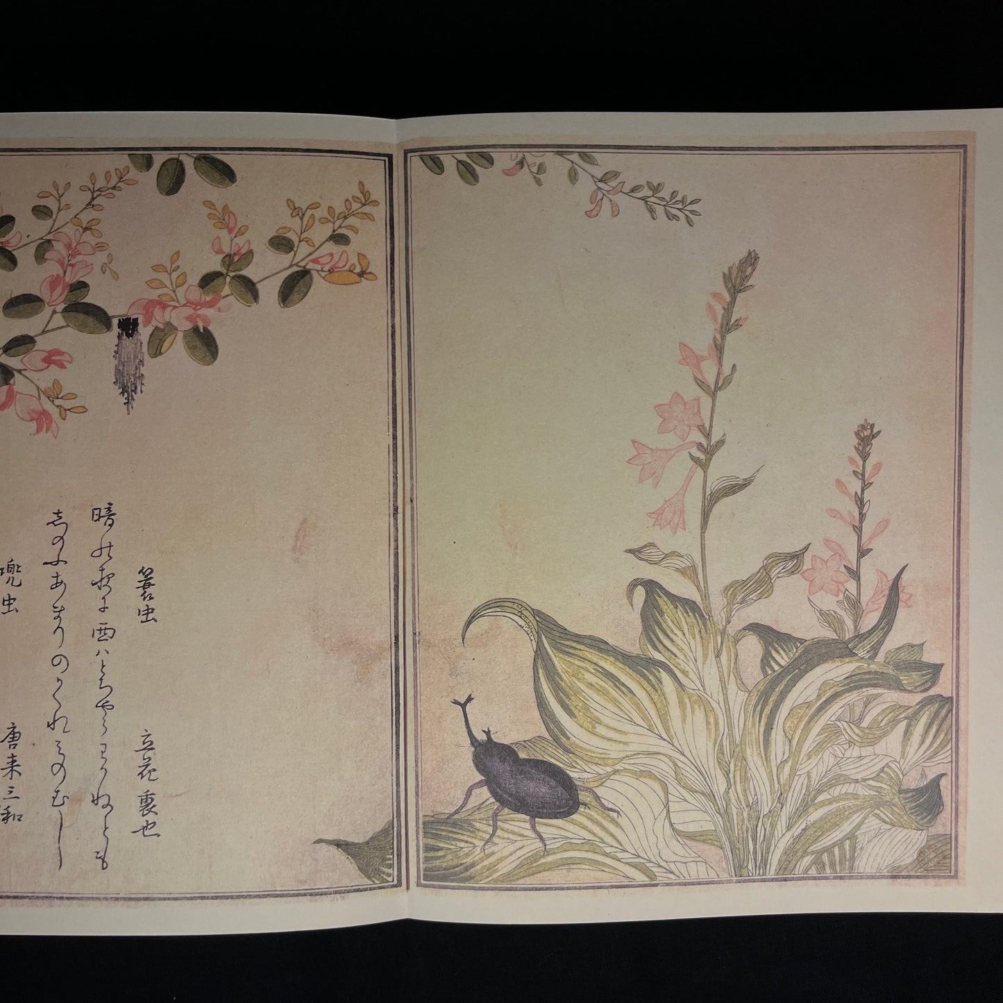 Inscribed - Utamaro: Songs of the Garden by Yasuko Betchaku and Joan B. Mirviss (1984) Vintage Hardcover Book