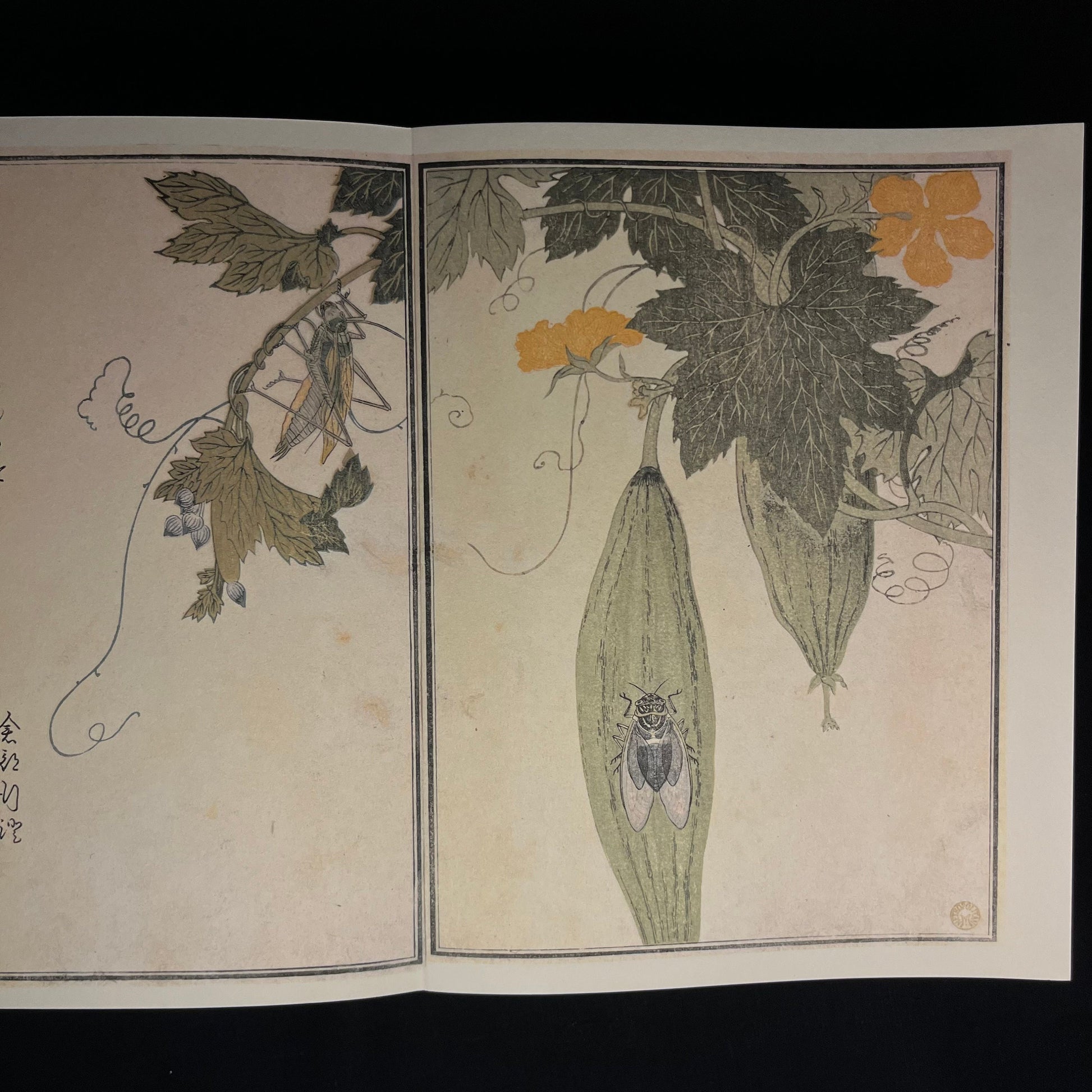 Inscribed - Utamaro: Songs of the Garden by Yasuko Betchaku and Joan B. Mirviss (1984) Vintage Hardcover Book