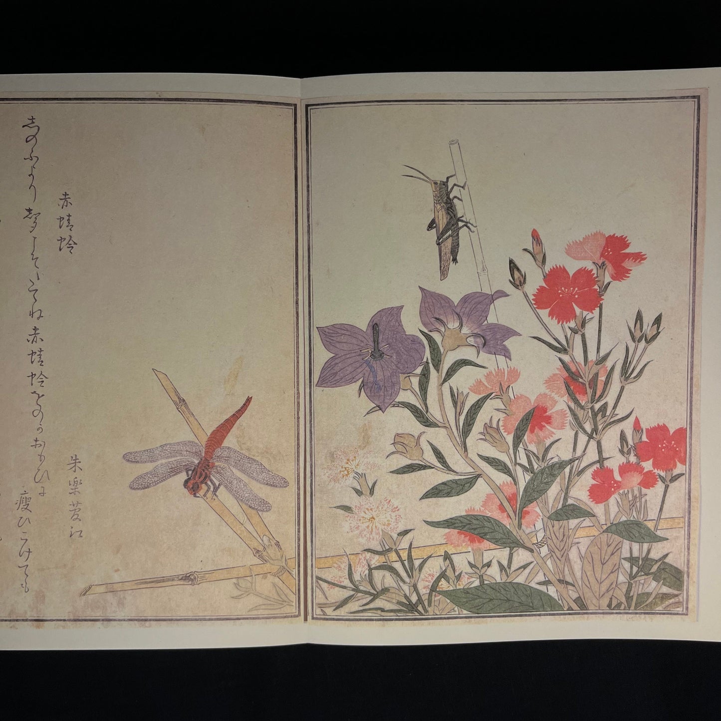 Inscribed - Utamaro: Songs of the Garden by Yasuko Betchaku and Joan B. Mirviss (1984) Vintage Hardcover Book