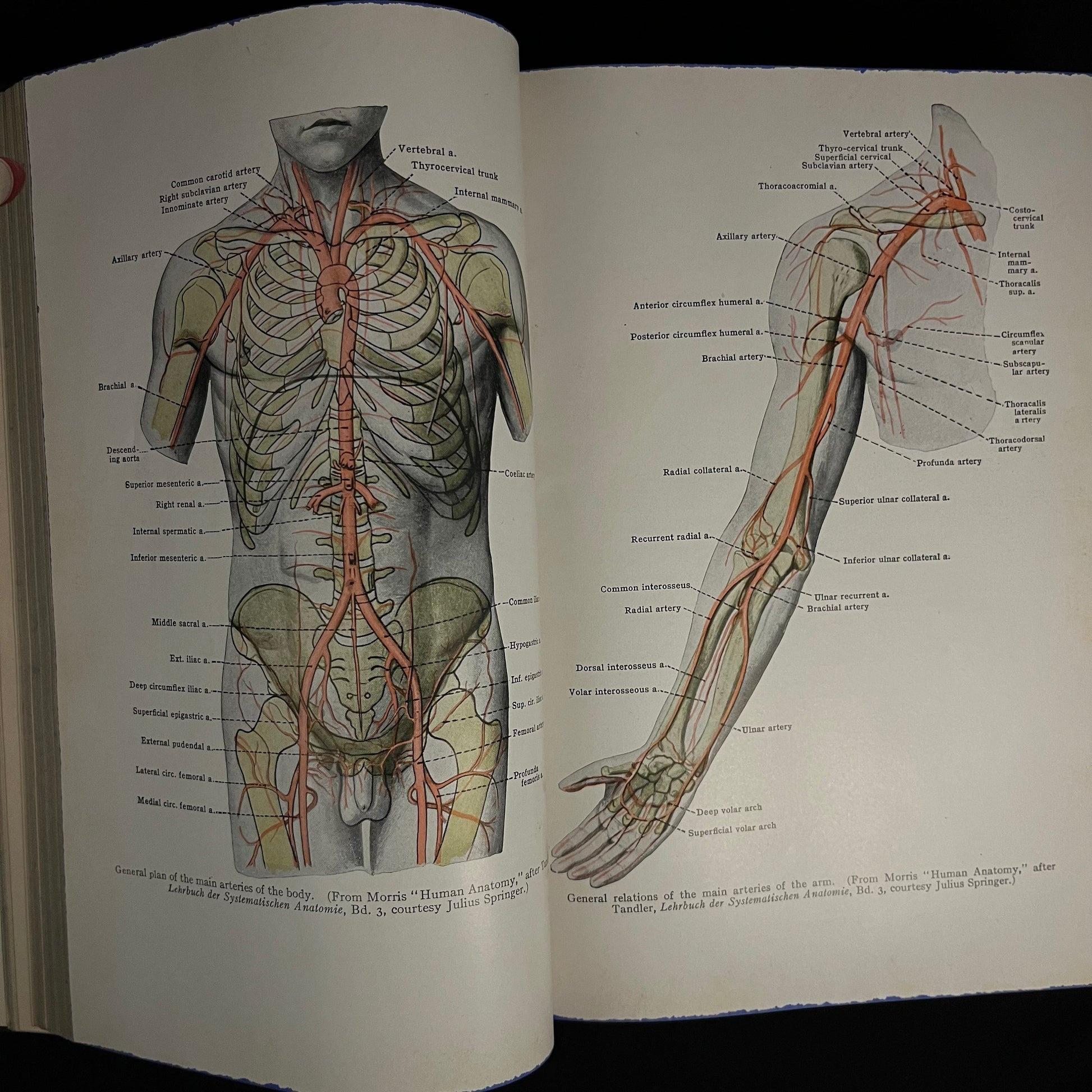 Fifth Edition - Gould’s Medical Dictionary edited by C. V. Bronwlow (1945) Vintage Hardcover Book