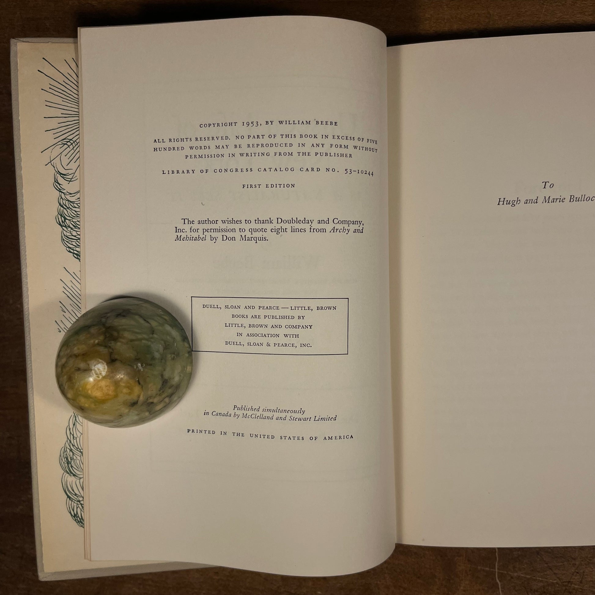 First Printing - Unseen Life of New York: As a Naturalist Sees It by William Beebe (1953) Vintage Hardcover Book