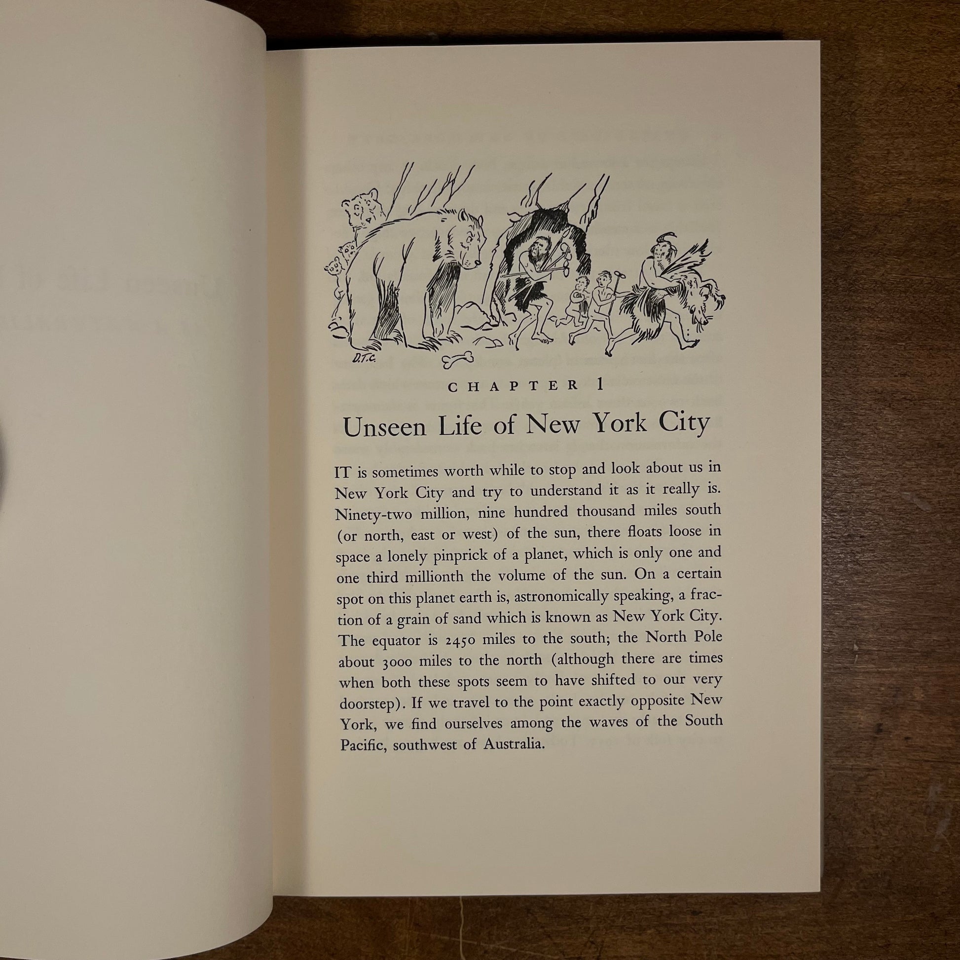 First Printing - Unseen Life of New York: As a Naturalist Sees It by William Beebe (1953) Vintage Hardcover Book