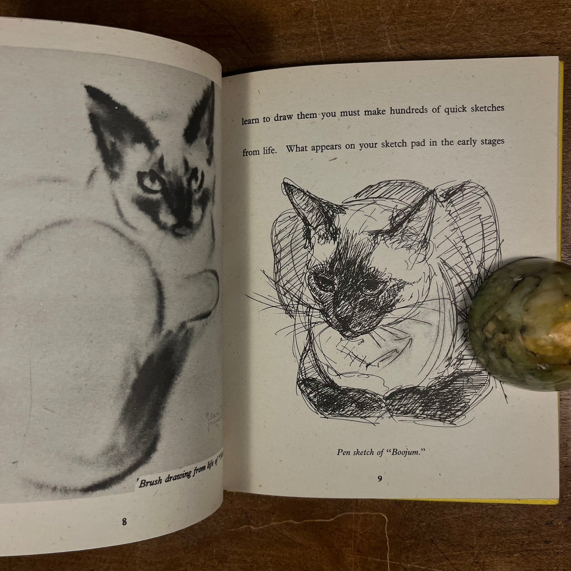 Third Printing - Drawing a Cat by Clare Turlay Newberry (1941) Vintage Hardcover Book