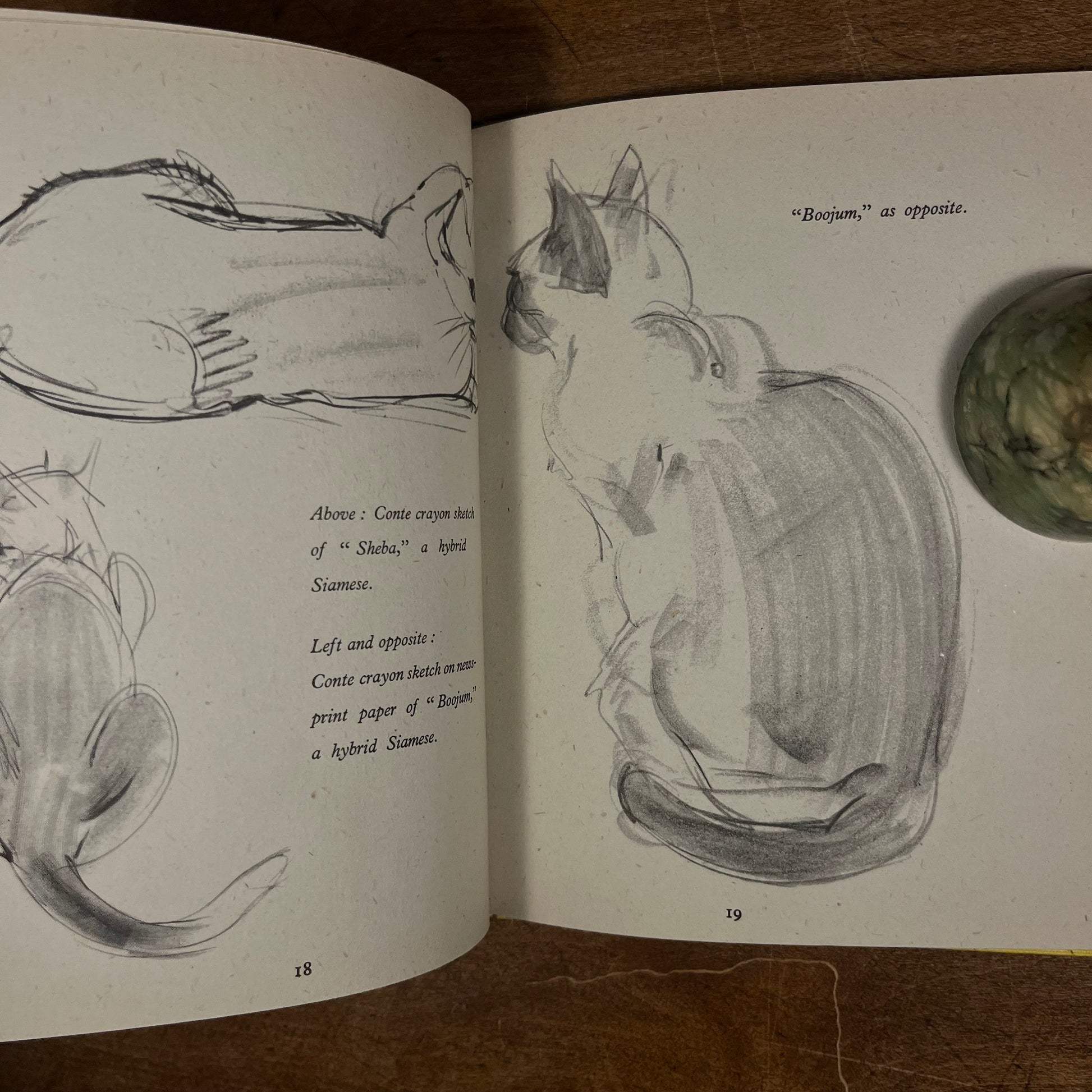 Third Printing - Drawing a Cat by Clare Turlay Newberry (1941) Vintage Hardcover Book