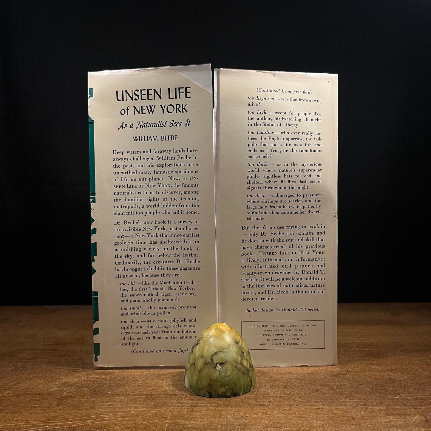 First Printing - Unseen Life of New York: As a Naturalist Sees It by William Beebe (1953) Vintage Hardcover Book